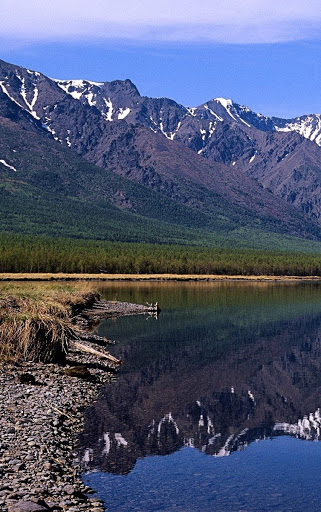 Melvin Thompson Photo 8