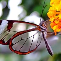 Jane Swenson Photo 6