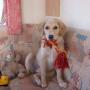 Becky Bradshaw Photo 24