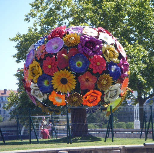 Stacy Martin Photo 12