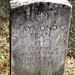 Raymond Bean Photo 13