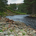 Steven Rivers Photo 16