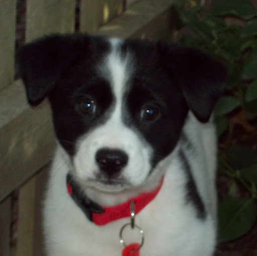 Barbara Renzi Photo 5