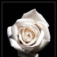 Melissa Reinhardt Photo 5