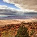 Larry Vermillion Photo 10