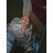 Catherine Douglass Photo 18