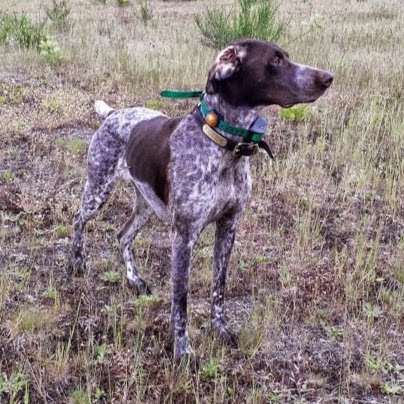 Sara Alexander Photo 35