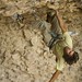 Shama Sharma Photo 29