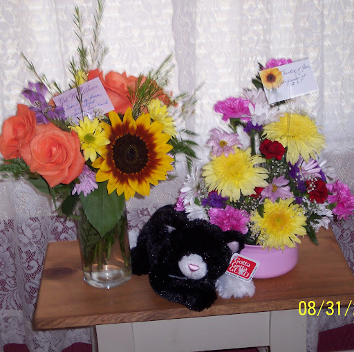 Theresa Price Photo 19
