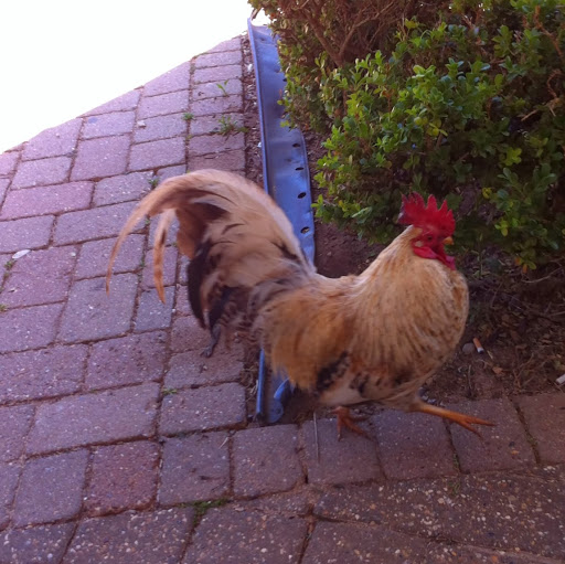 Richard Burrows Photo 22