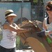 Haley Hayes Photo 7