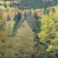 Mary Mattern Photo 26