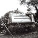 Frances Mcdowell Photo 13
