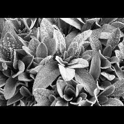 Jennifer Cole Photo 21