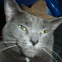 Dusty Hunt Photo 13