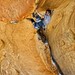Craig Ingram Photo 41