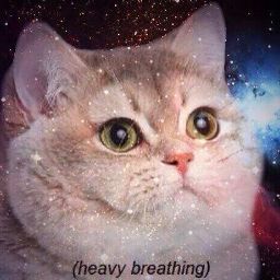 Benjamin Anderson Photo 37 Benjamin Anderson Photo 37