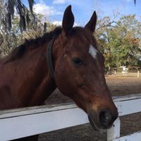 Karen Majerczak Photo 6