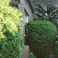 Gertrude Martin Photo 15