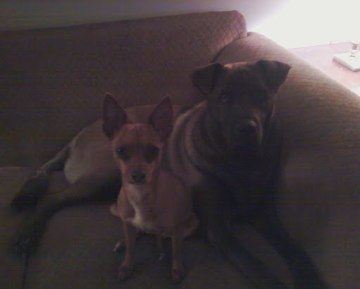 Cynthia Jensen Photo 26