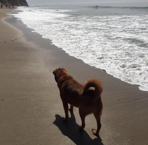 Jill Madison Photo 5