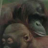 Steven Groves Photo 12