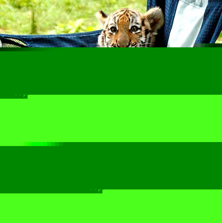 Denise Bruce Photo 16