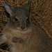 Karen Hare Photo 22