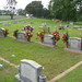 Debra Cobb Photo 19