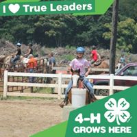 Adina Swanson Photo 2