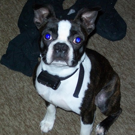 Gene Robbins Photo 37