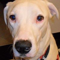 Jill Leslie Photo 24