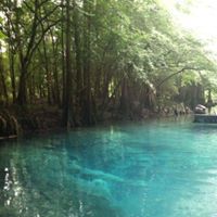 Vicki Earnest Photo 16