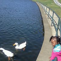 Michelle Ford Photo 24