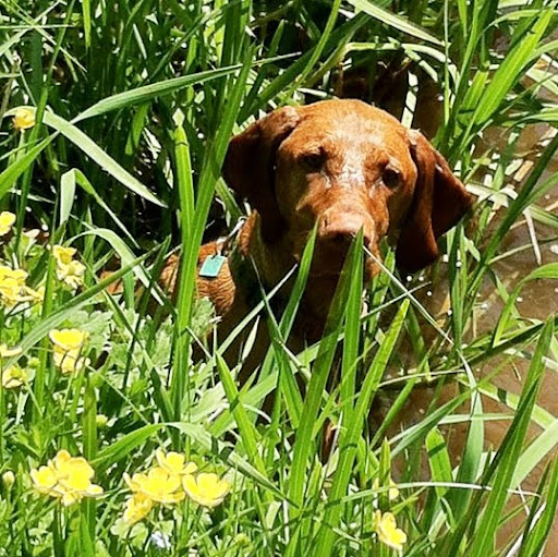 Angie Murray Photo 42