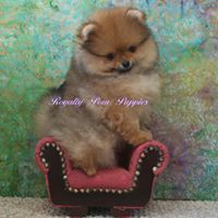 Janet Noble Photo 37