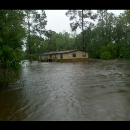 Lisa Clemons Photo 18