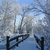 Debbie Nobles Photo 16