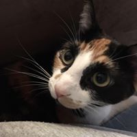 Terri Scott Photo 7 Terri Scott Photo 7