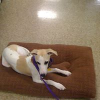 Janice Waldrop Photo 4