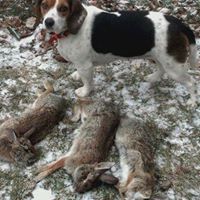 Stacy Stoddard Photo 19