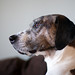 Darla Sharp Photo 5