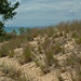 Warren Buchanan Photo 13
