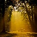 Ray Roark Photo 8