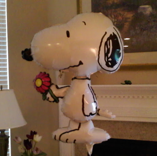 Patti Mercer Photo 7