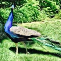 Shannon Krueger Photo 38