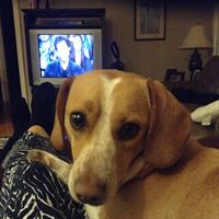 Beth Livingston Photo 20