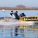 Terry Brown Photo 9