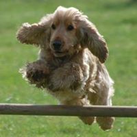 Sharon Cann Photo 10