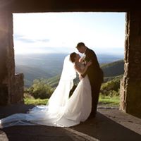 Cindy Chan Photo 40 Cindy Chan Photo 40